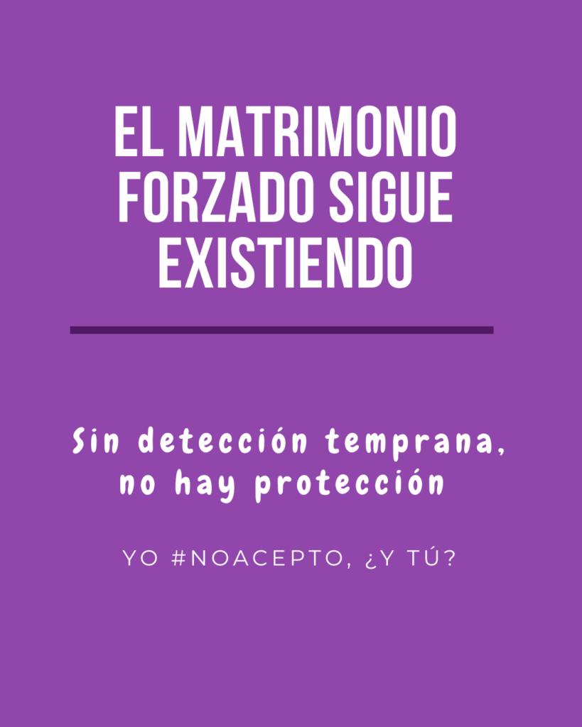 Participación y diálogo intercultural en la construcción normativa